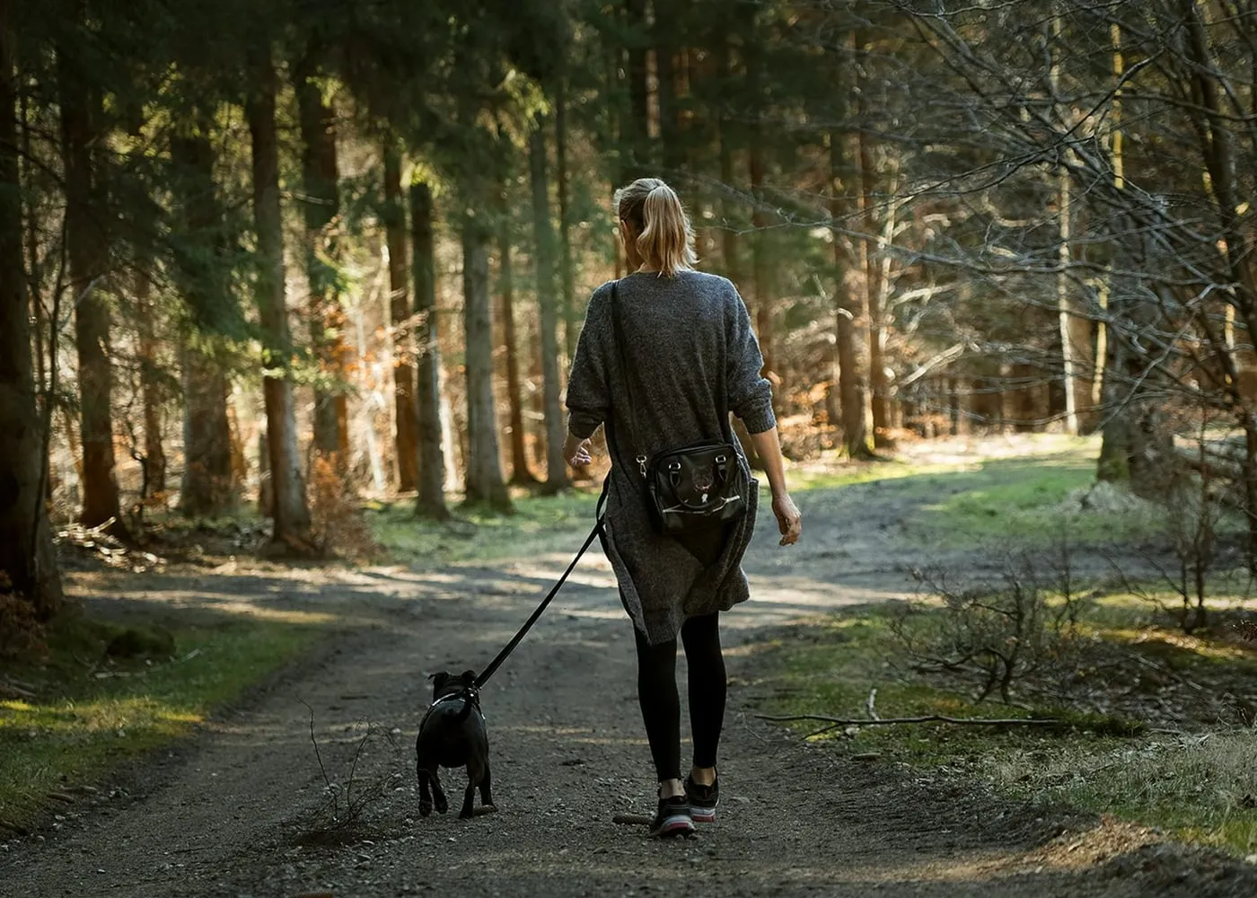 A woman walking a small dark dog along a woodland path, seen from behind